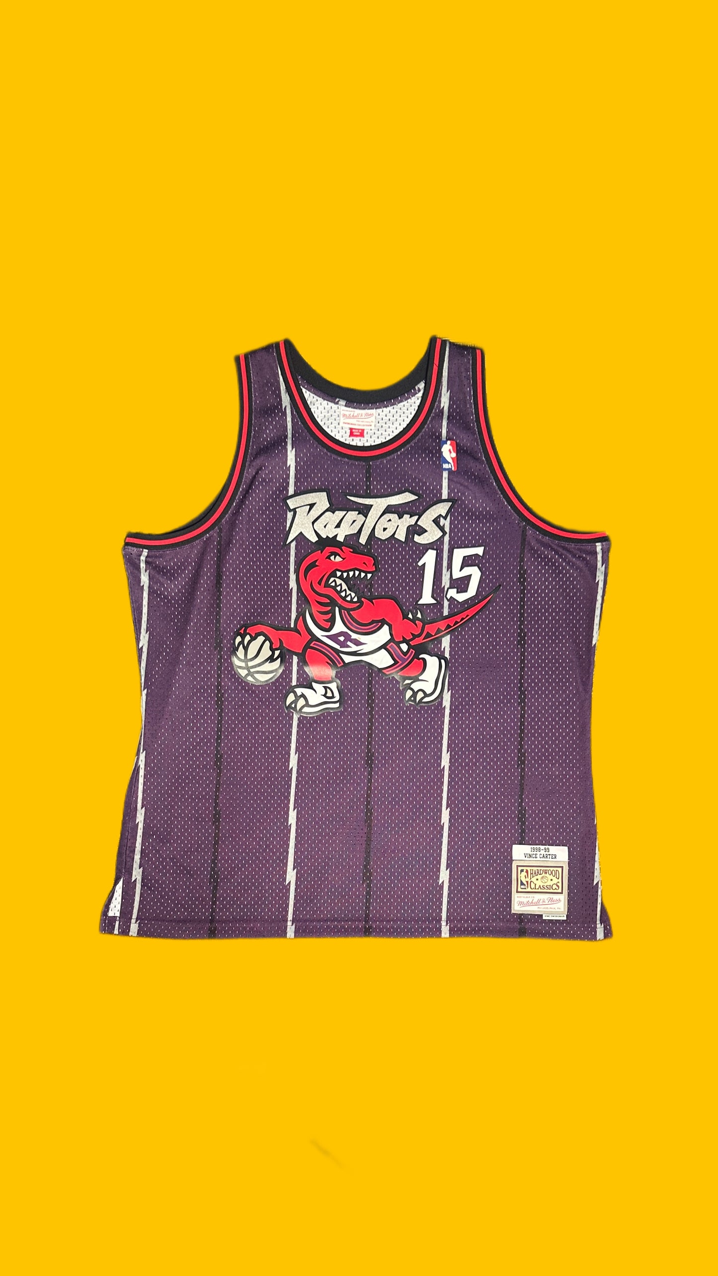 Toronto Raptors Vince Carter Mitchell & Ness Jersey