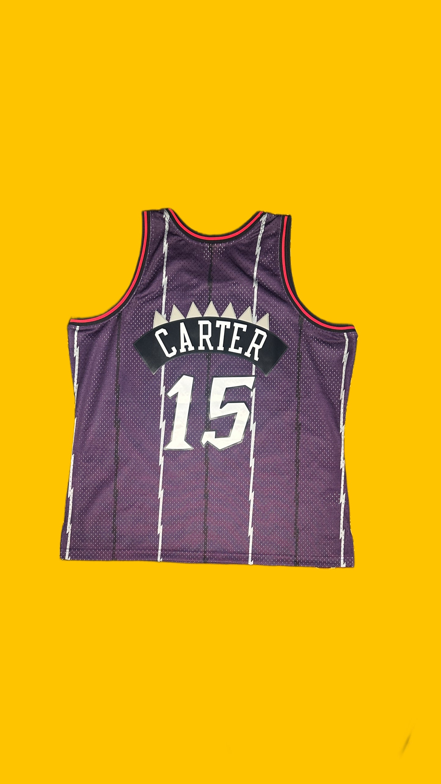 Toronto Raptors Vince Carter Mitchell & Ness Jersey