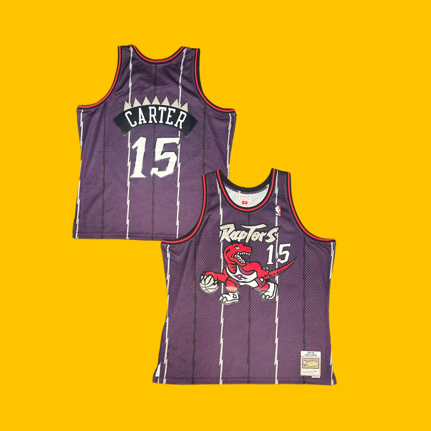 Toronto Raptors Vince Carter Mitchell & Ness Jersey