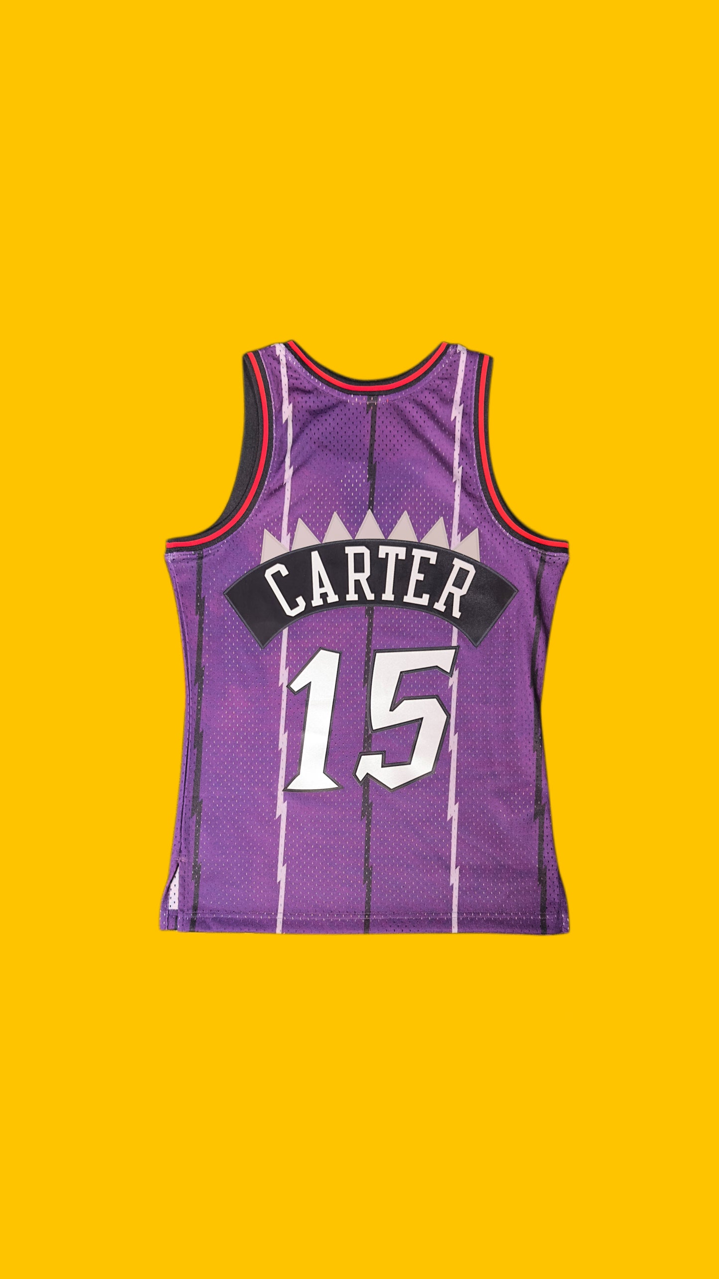 Toronto Raptors Vince Carter Hardwood Classics Jersey