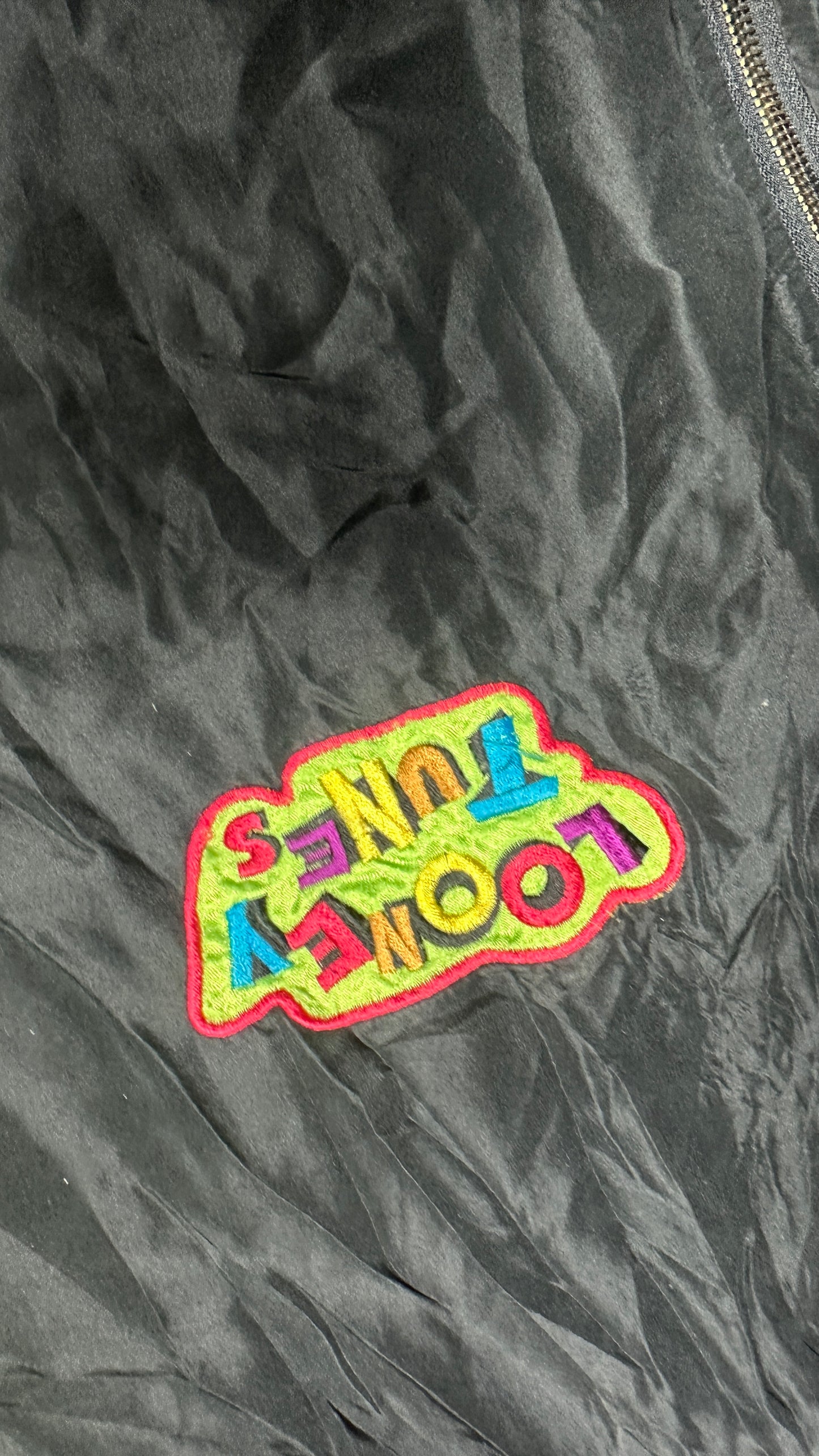 Looney Tunes Marvin the Martian 1993 Jacket