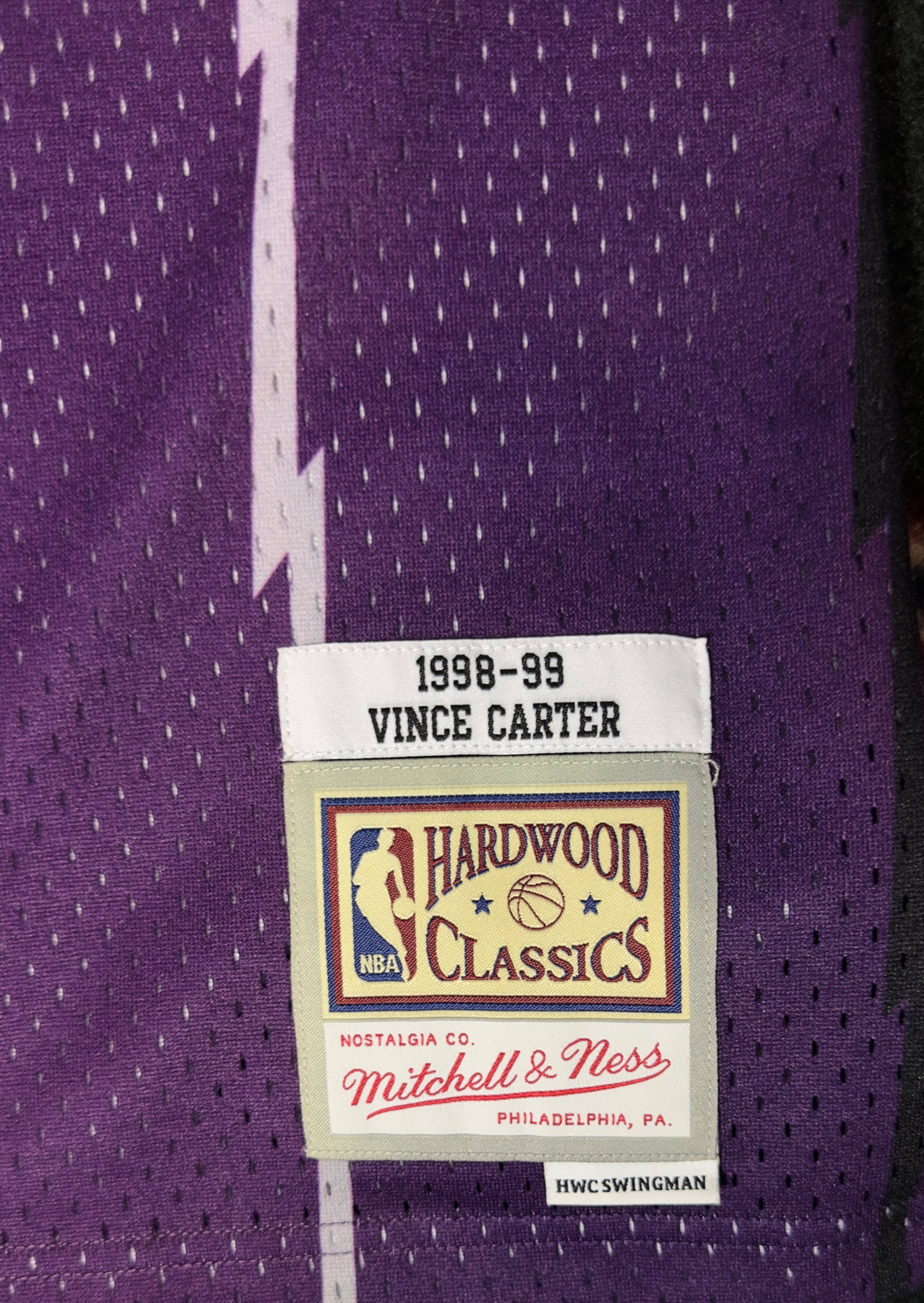 Toronto Raptors Vince Carter Hardwood Classics Jersey