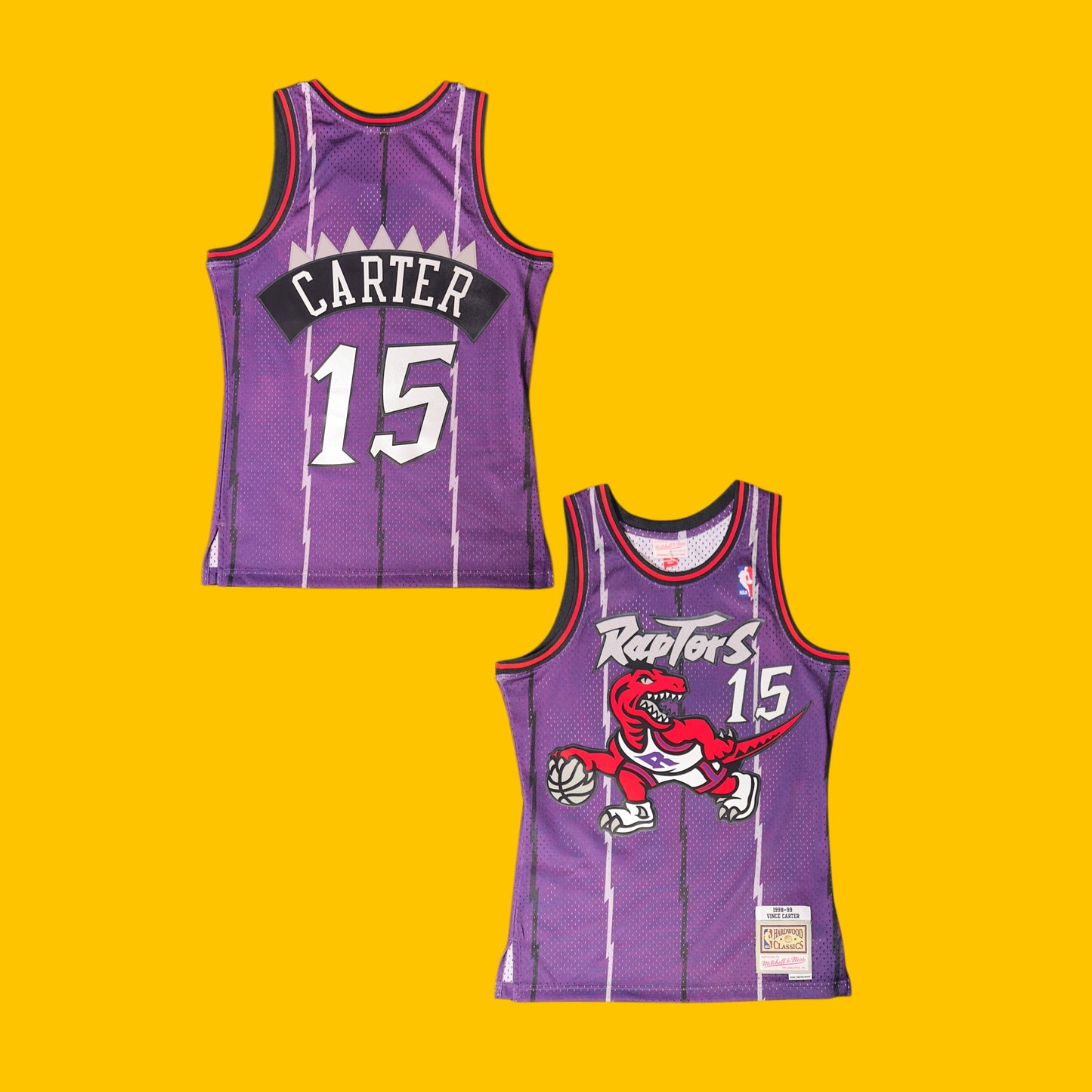 Toronto Raptors Vince Carter Hardwood Classics Jersey