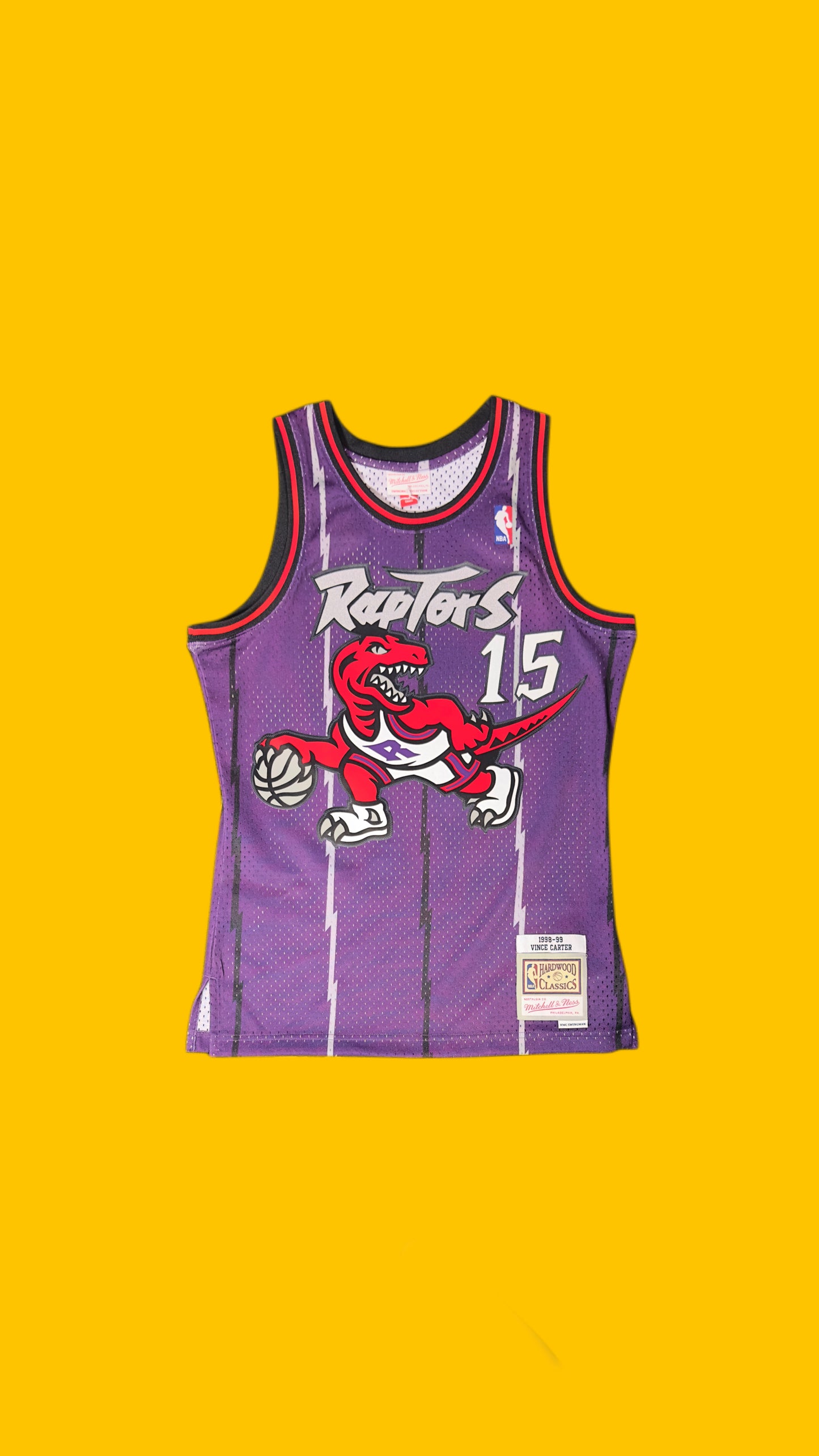 Toronto Raptors Vince Carter Hardwood Classics Jersey