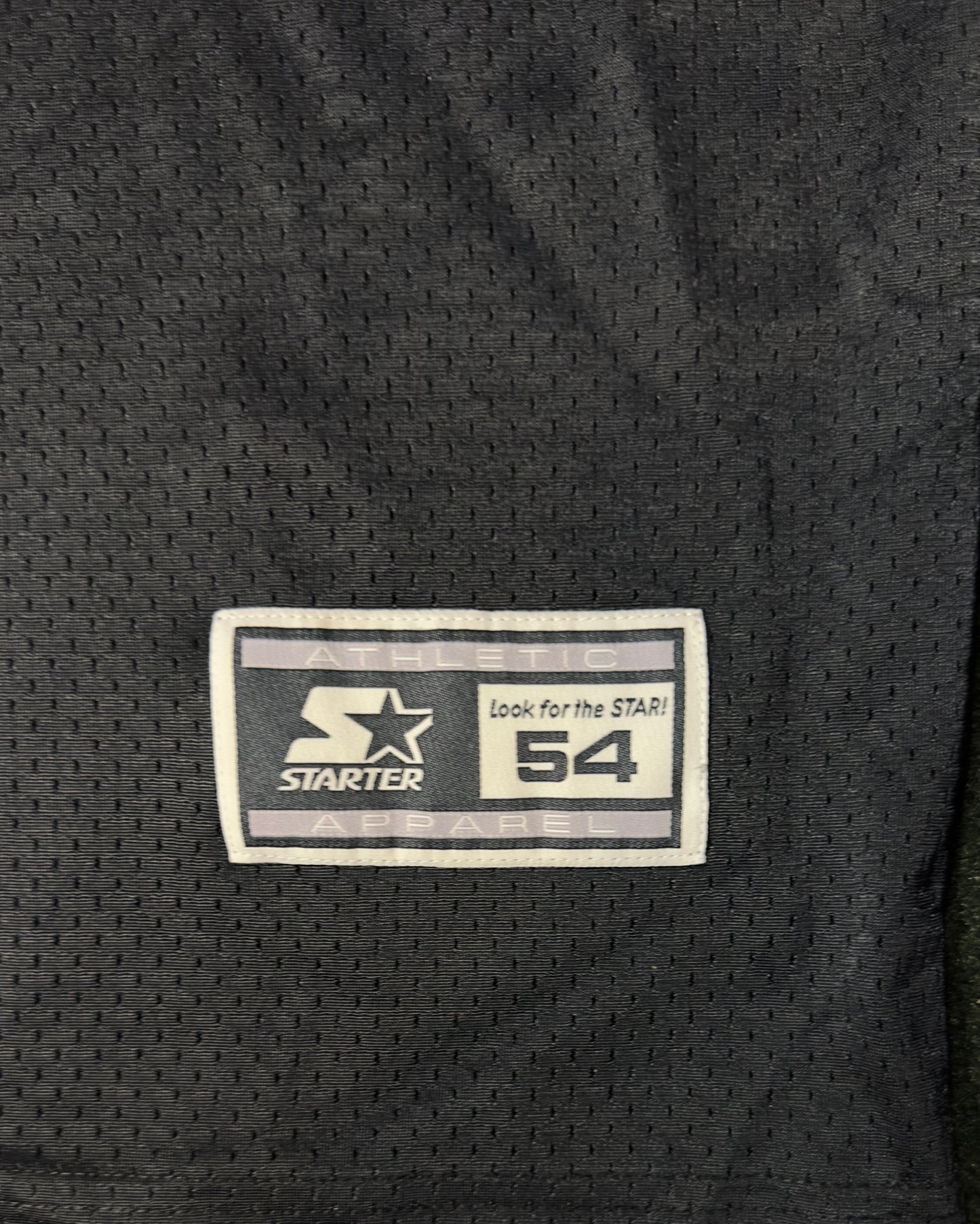 Pittsburgh Steelers Jerome Bettis #36 Starter Jersey Vintage 1995